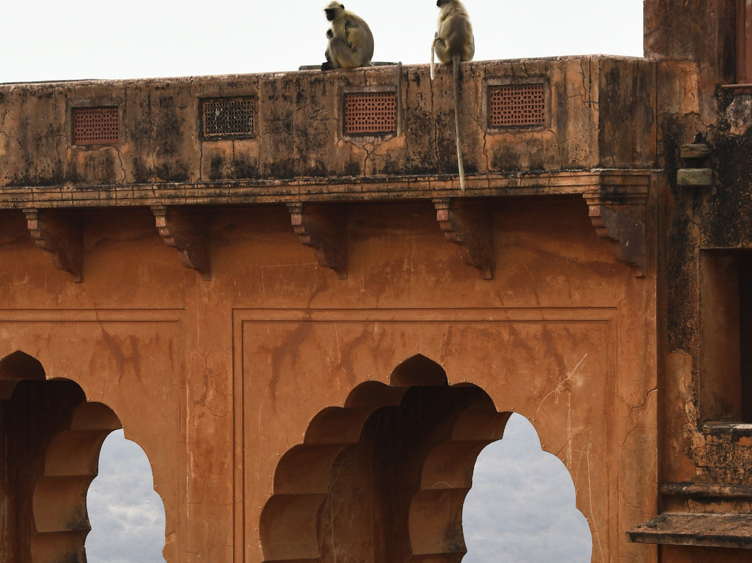 Baba Tours Jaipur景点图片