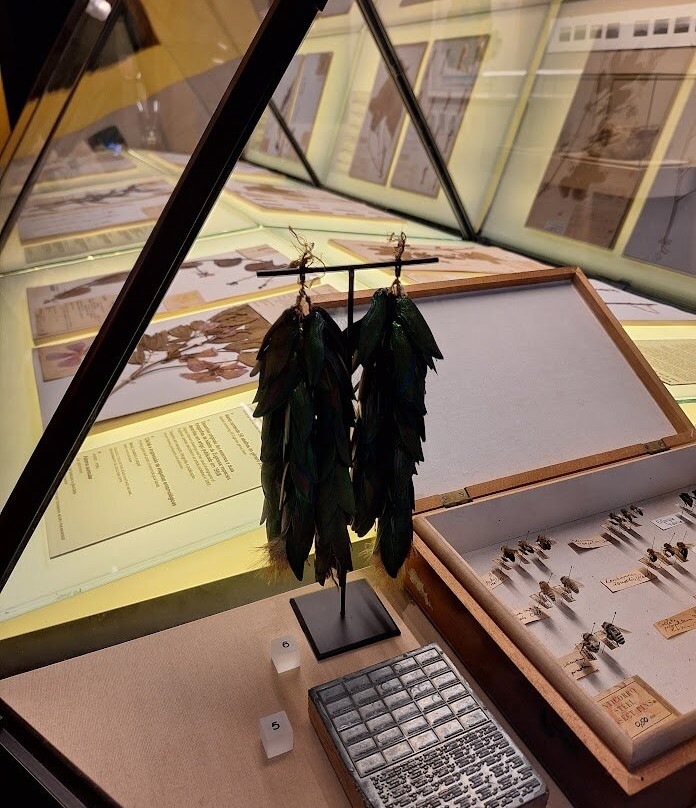 Museu Paranaense-库里提巴必去景点