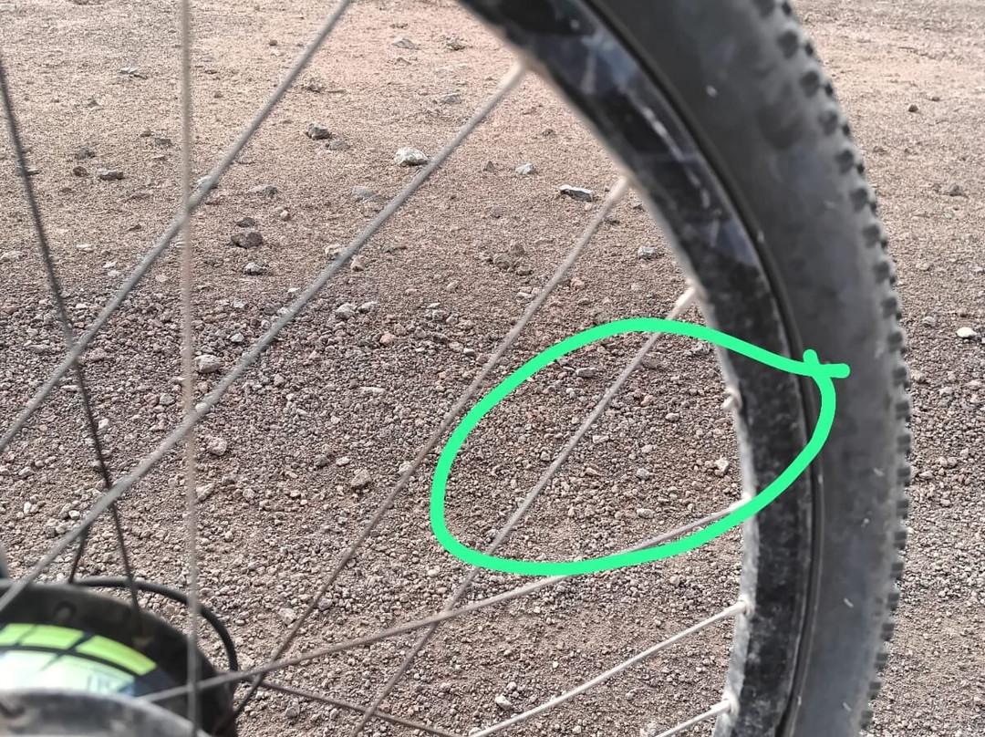 Rent a bike El Veril景点图片