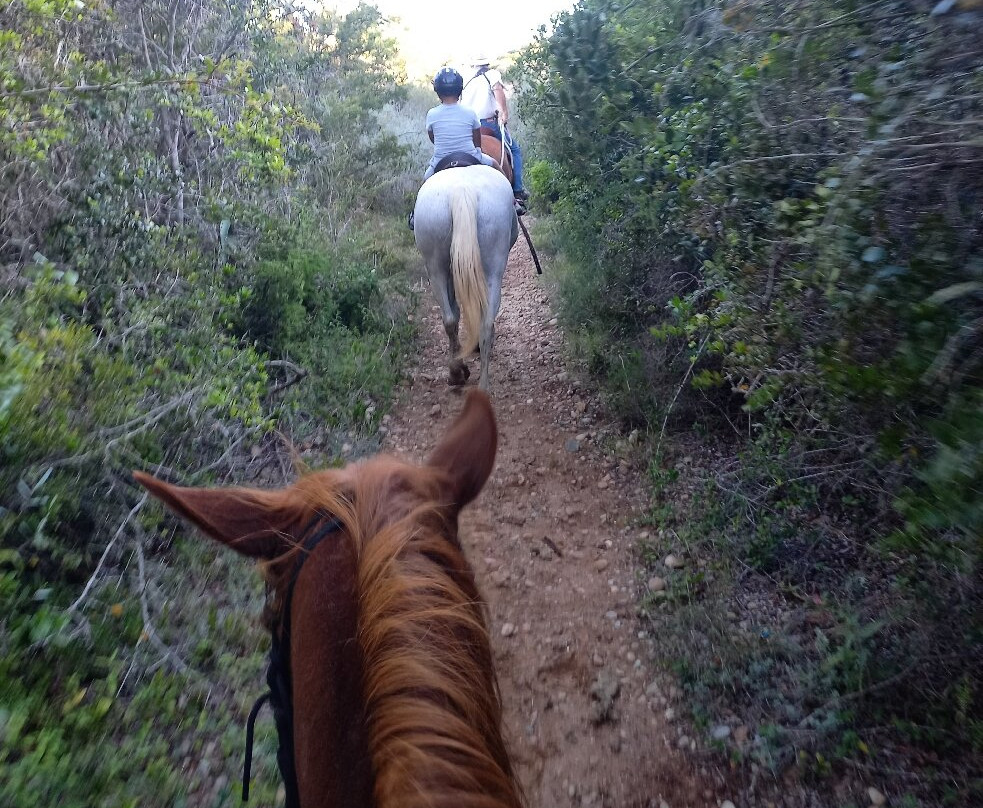 Dio Dell Amore Guest House主图