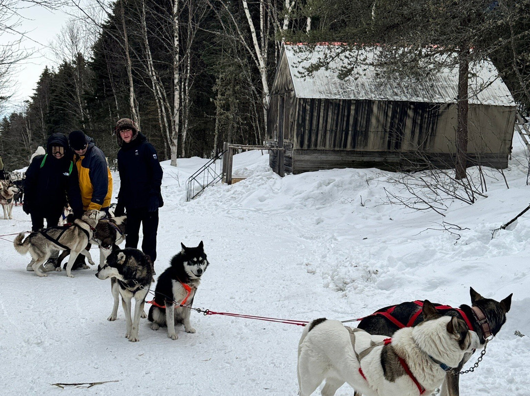Le Chenil du Sportif-Charlevoix必去景点