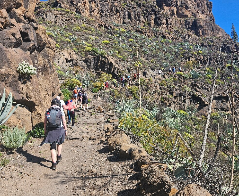 Rocky Adventure景点图片