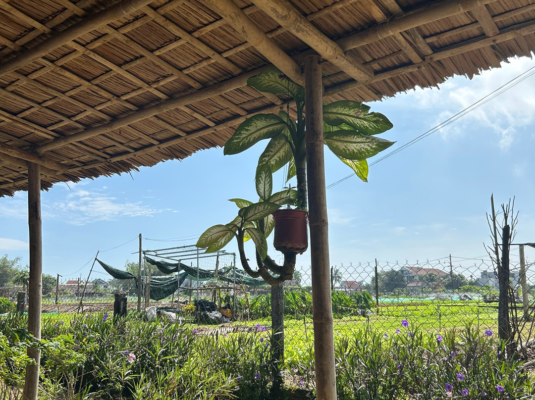 Hoian Aodai Ridertour-会安必去景点