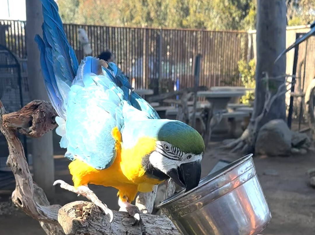 Free Flight-德尔马必去景点