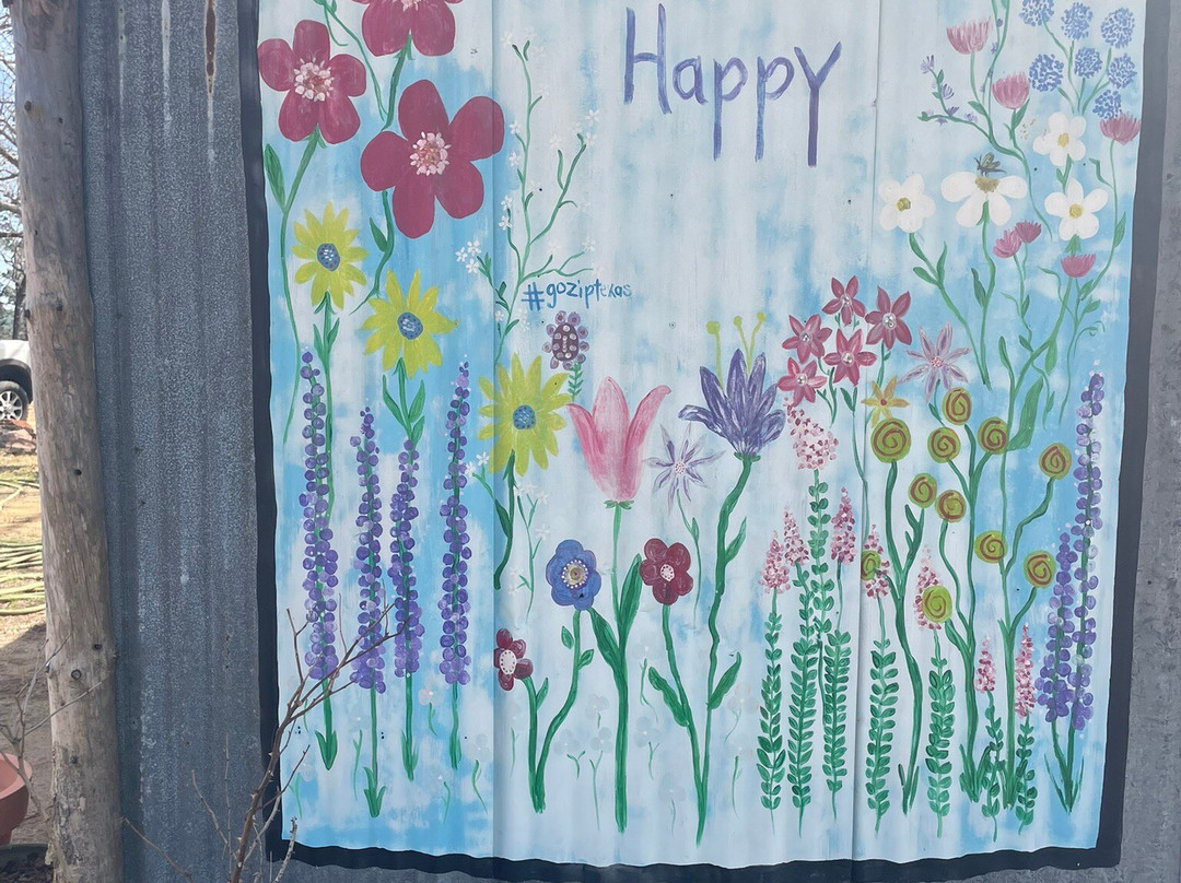 New York Texas Zipline Adventures-Larue必去景点