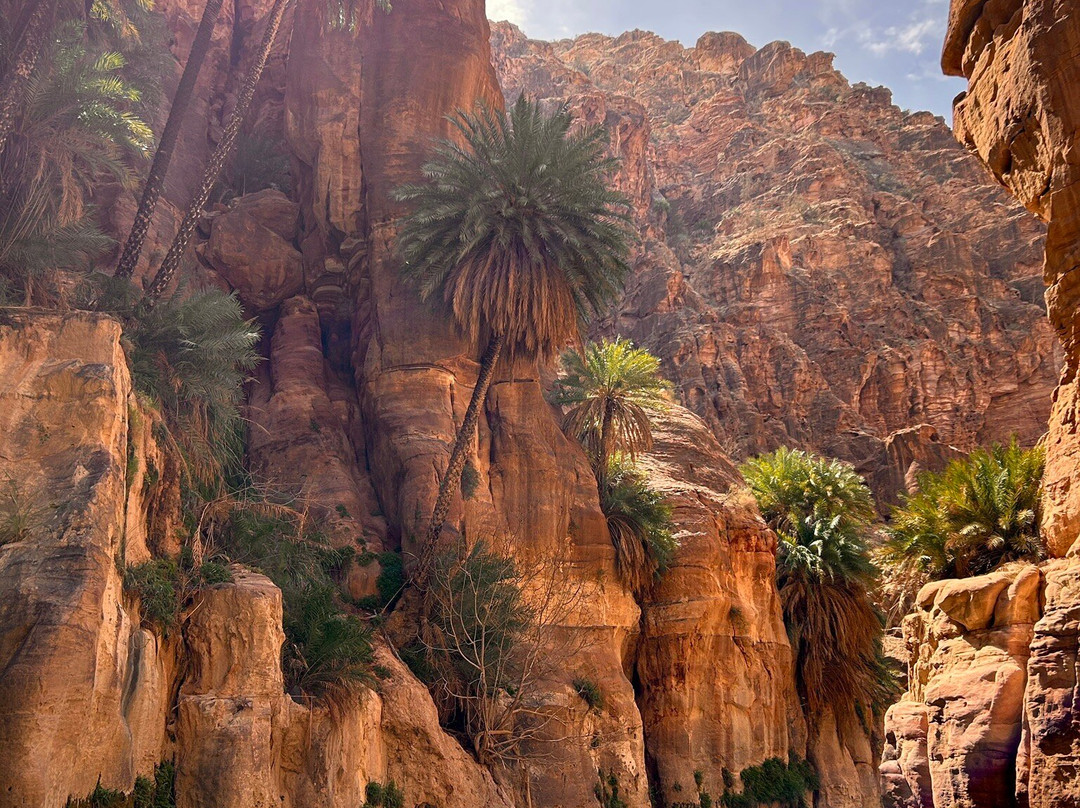 Wadi Ghuweir-null必去景点