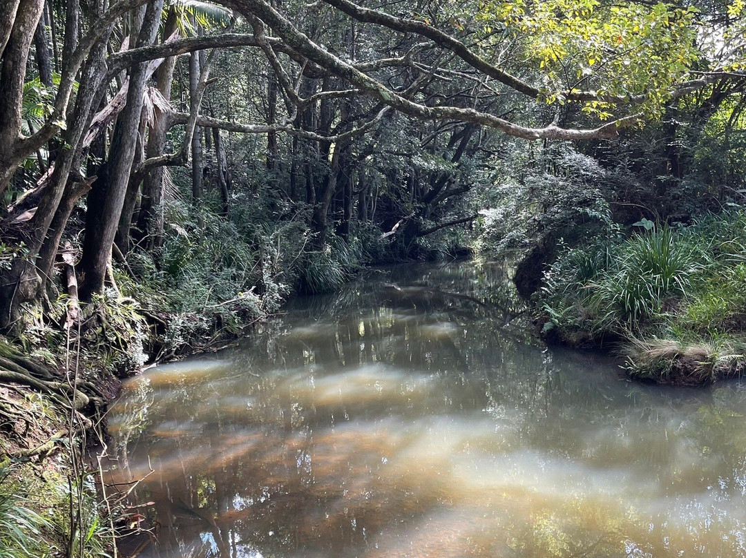 Bangalow Weir Parklands景点图片