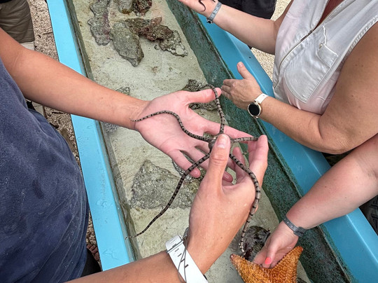 Coral Vita-弗里波特必去景点