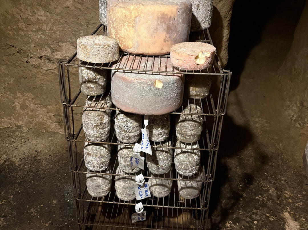 Demeures & Châteaux Fleur de Roques主图