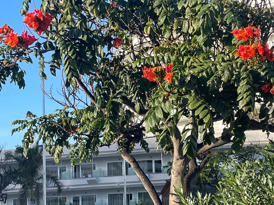 Cita Shopping Center-英国人海滩必去景点