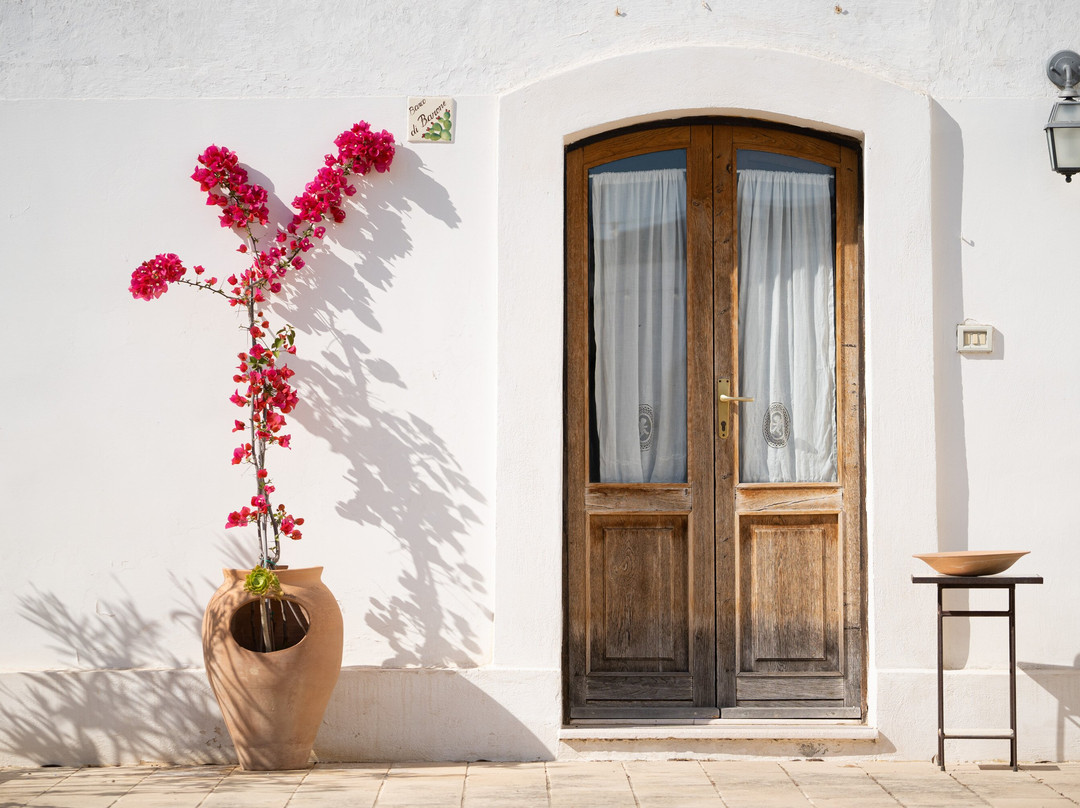 泰努塔德巴克酒店主图