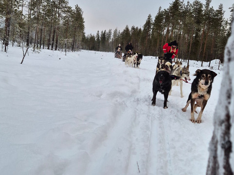 Christmas House Safaris-罗瓦涅米必去景点