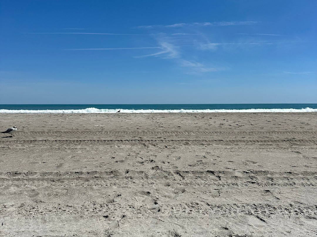 Beach Island Resort主图