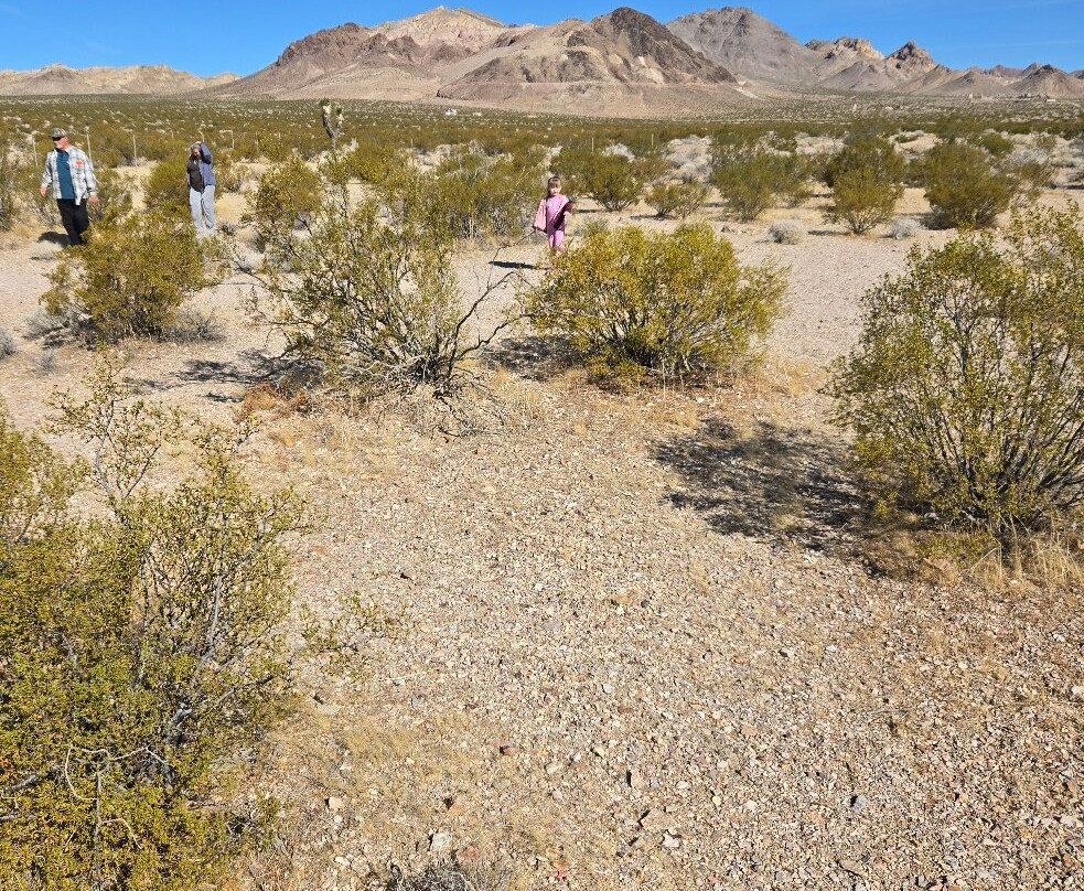 Bullfrog-Rhyolite Cemetery-比蒂必去景点