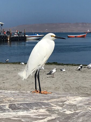 KC Peru Expedition Travel-库斯科必去景点