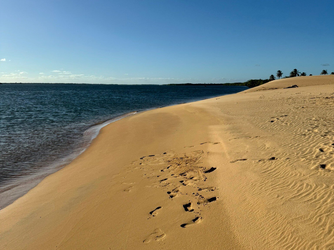 Passeios a Foz do Rio São Francisco - DR TOUR-Piacabucu必去景点