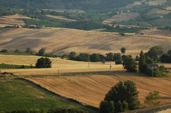 San Paolo di Jesi酒店住宿-Ca' del Cardo