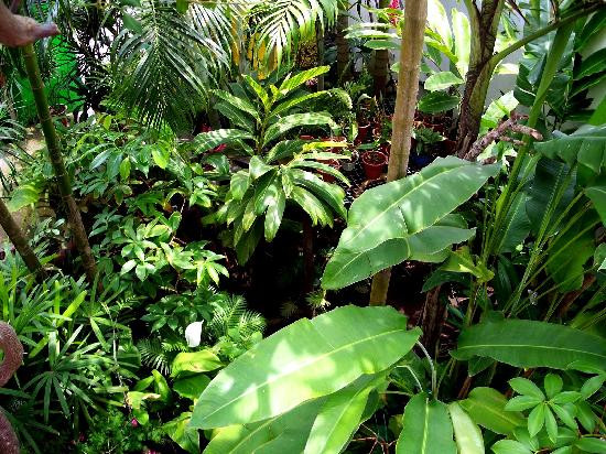 Casa De La Luz主图