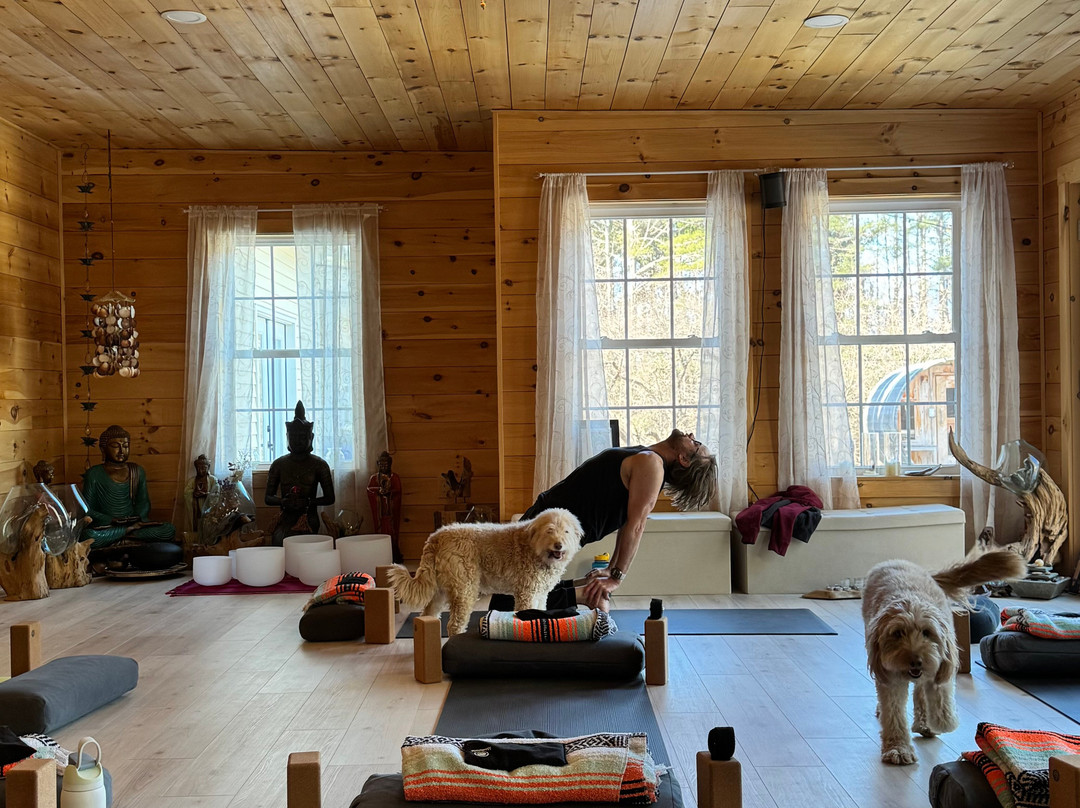 Hillholm Estate主图