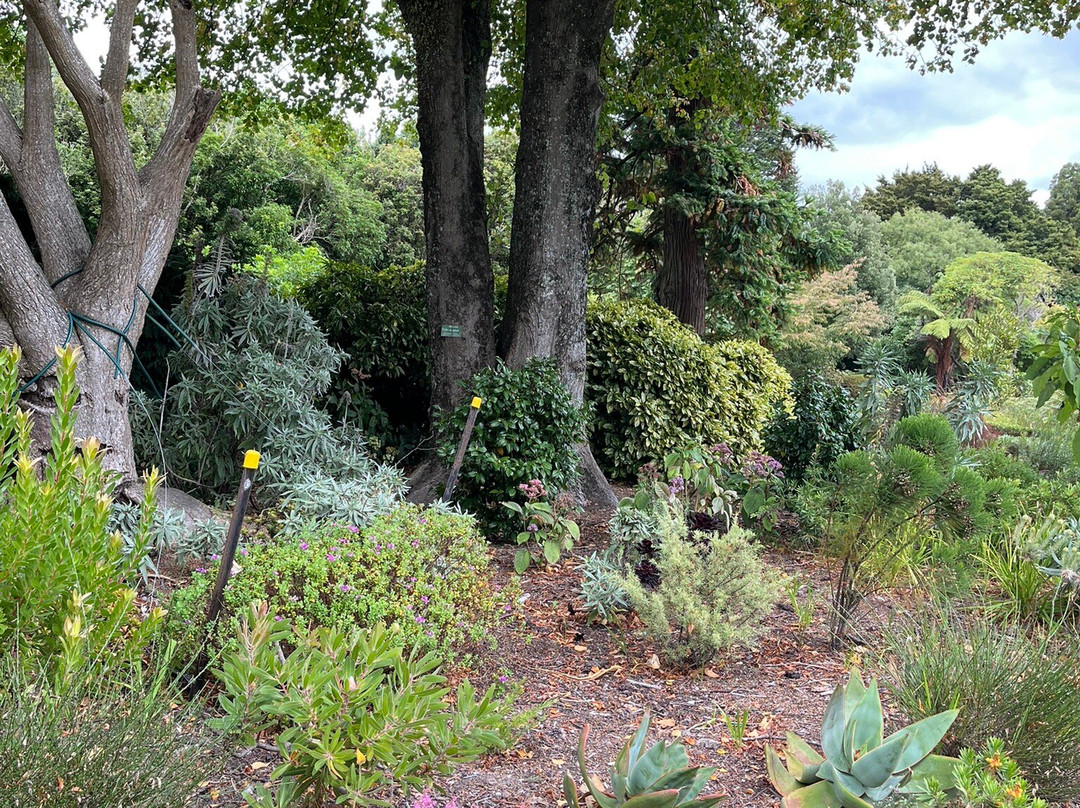 哈灵顿汽车旅馆主图