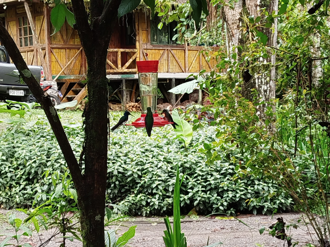 Sacha Urco Lodge y Bosque Protector主图