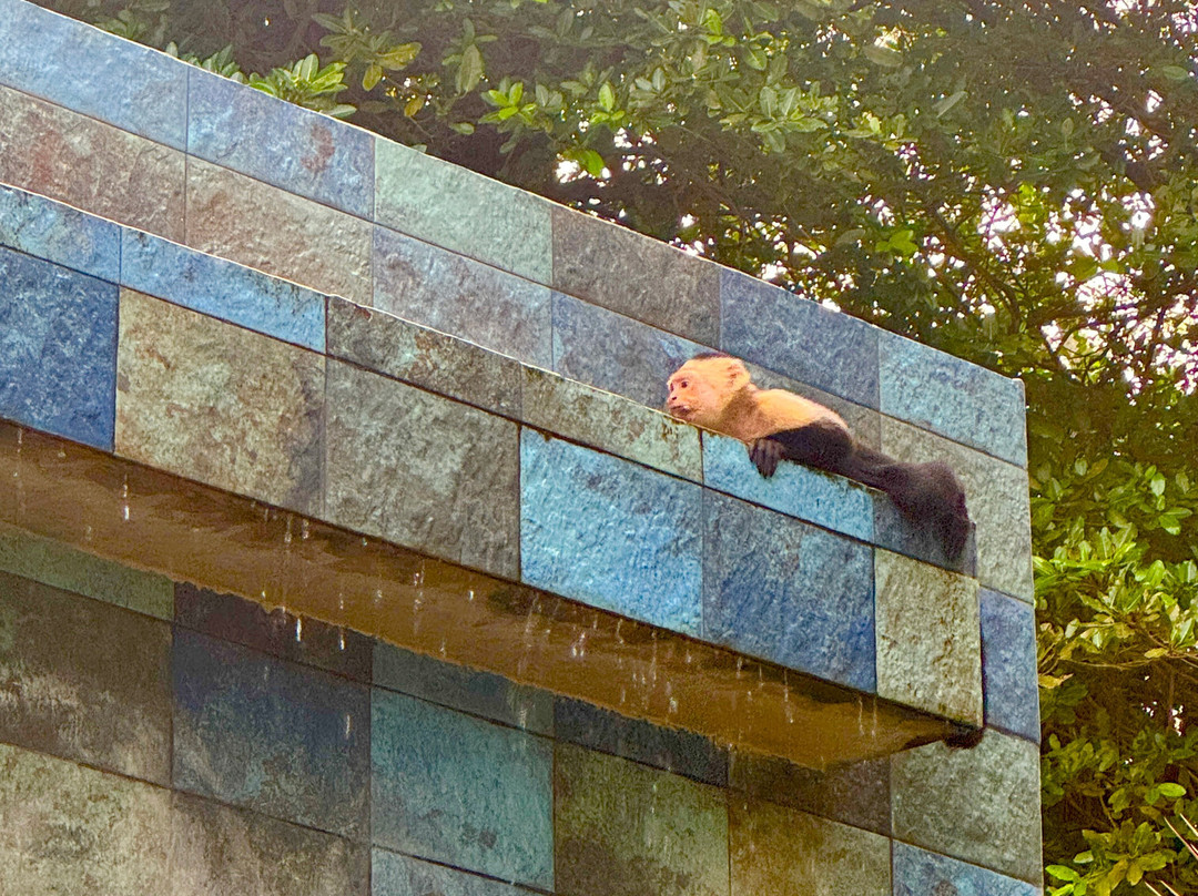 Wil Tours-Savegre必去景点