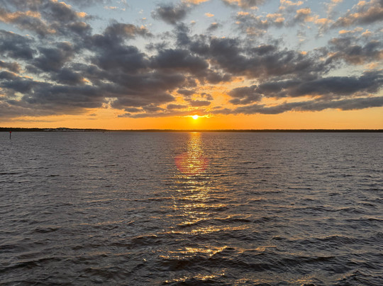 Sunny Lady Dolphin & Sunset Cruise at The Wharf-橙色海湾必去景点