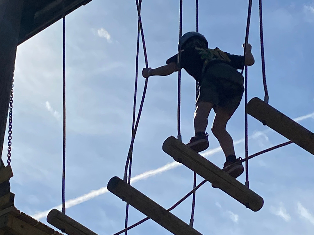 Vivary Golf & Adventure Centre-汤顿必去景点