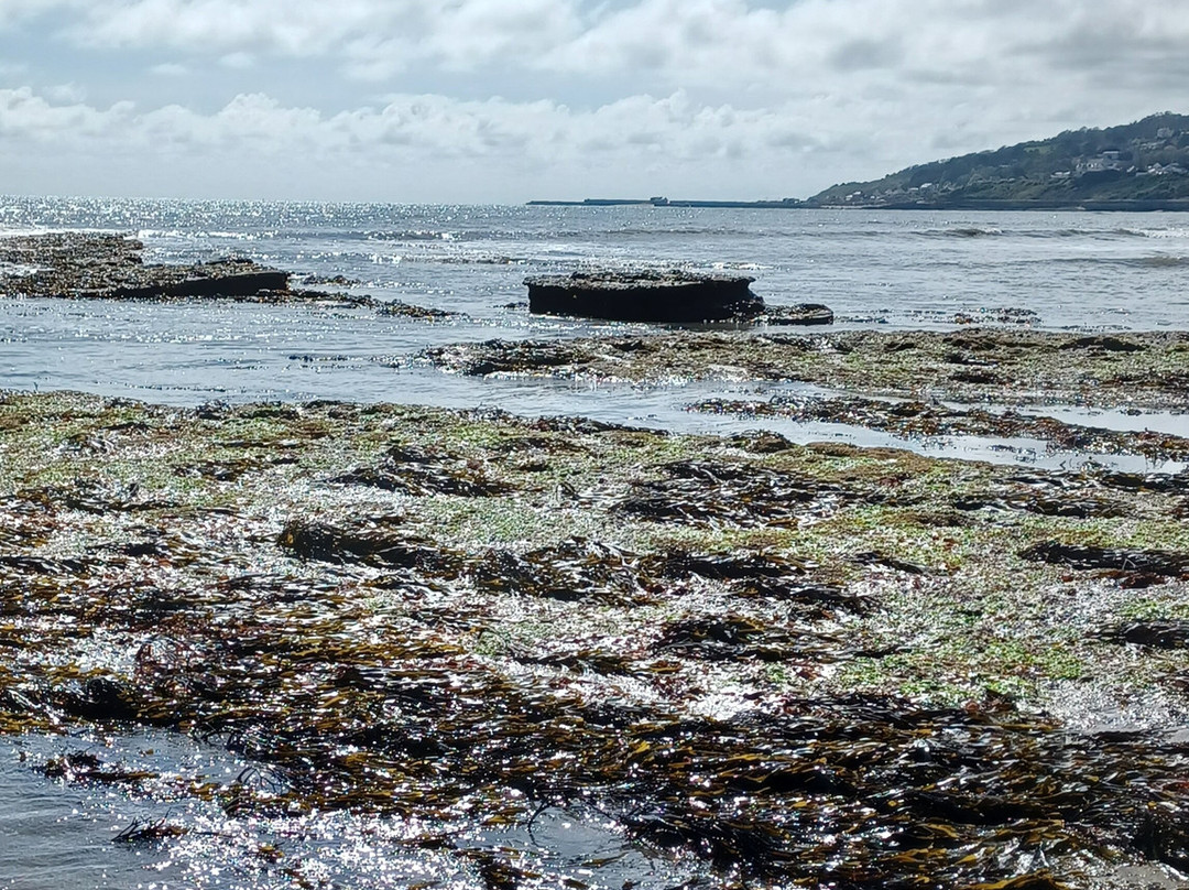 Charmouth Beach景点图片