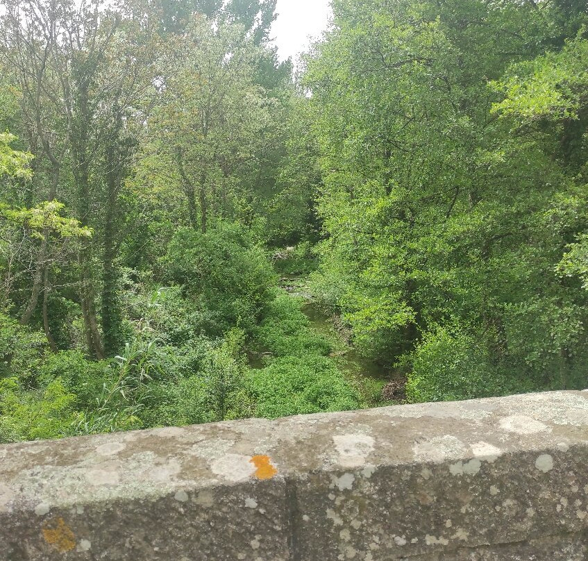 Gorges de la Guillera景点图片
