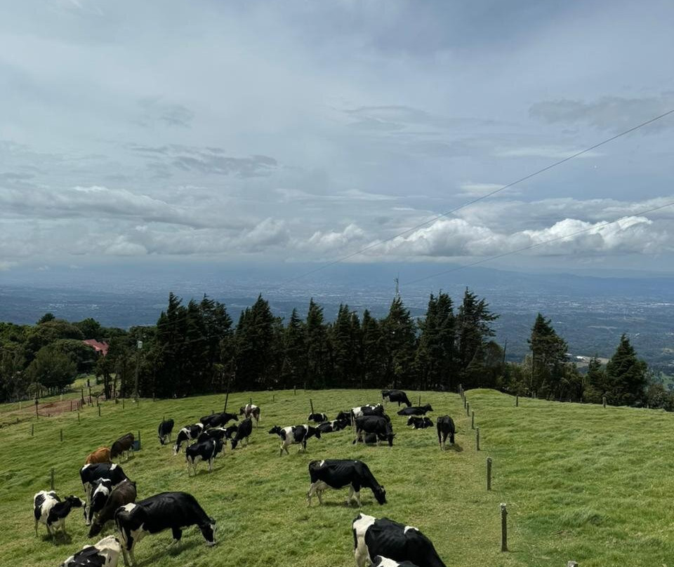 Paticas Travel-圣何塞必去景点