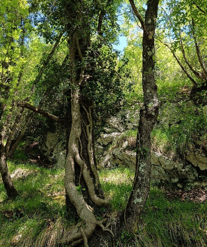 Grotta all'Onda-Casoli必去景点