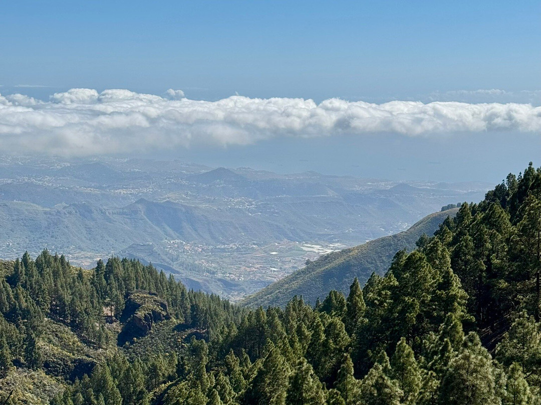 Pico De Las Nieves景点图片