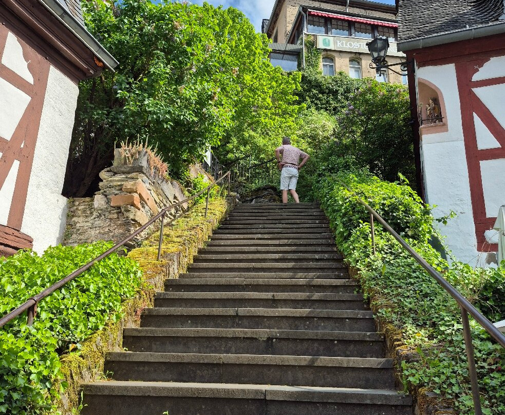 Hotel Haus Burg Metternich主图