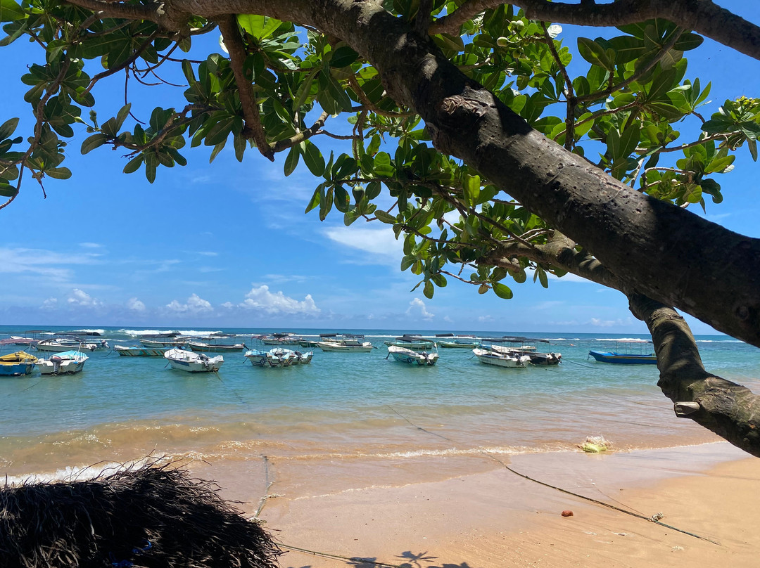 Hikkaduwa Jeep tour and tuk-tuk tour-希克杜沃必去景点