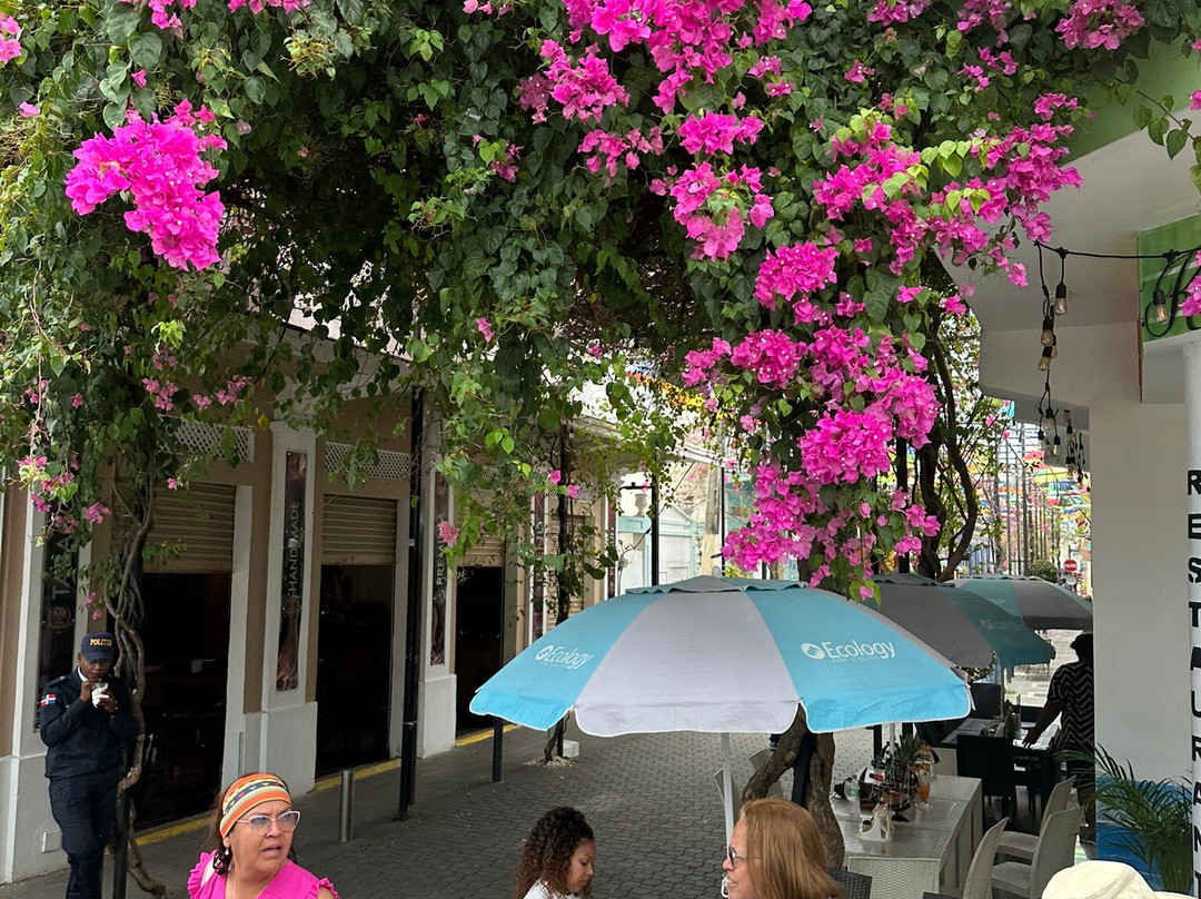 Umbrella Street-普拉塔港必去景点