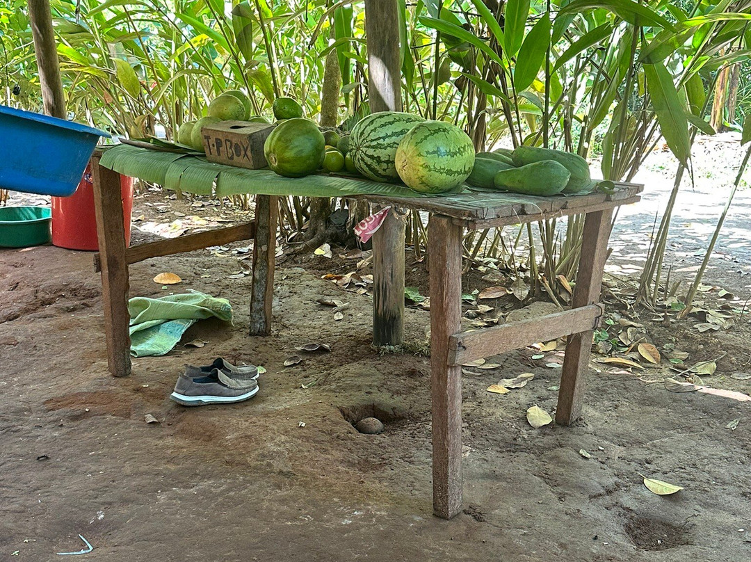 Jambo Spice Farm-桑给巴尔市必去景点