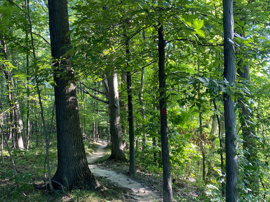 Mill Stream Run Reservation-克利夫兰必去景点