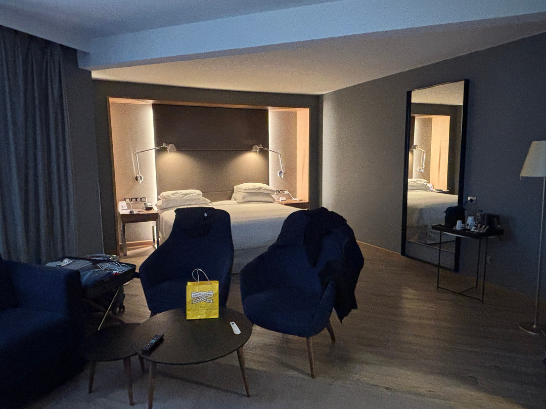 恩尔茨尼斯酒店主图