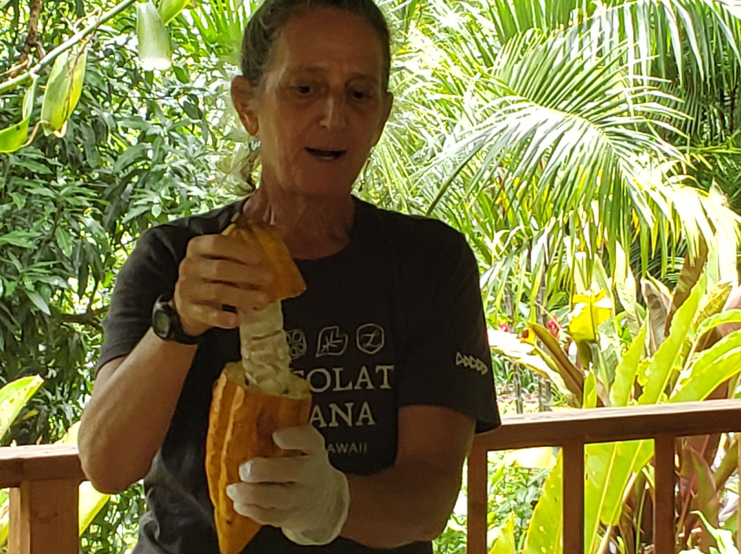 Lydgate Farms Kauai Chocolate-卡帕阿必去景点