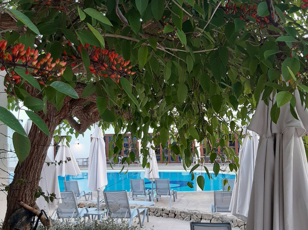 Prinsotel Alba主图