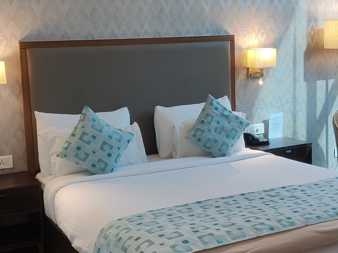 VIhang's Palm Club主图