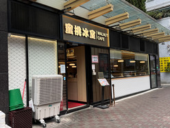 Gallery 4