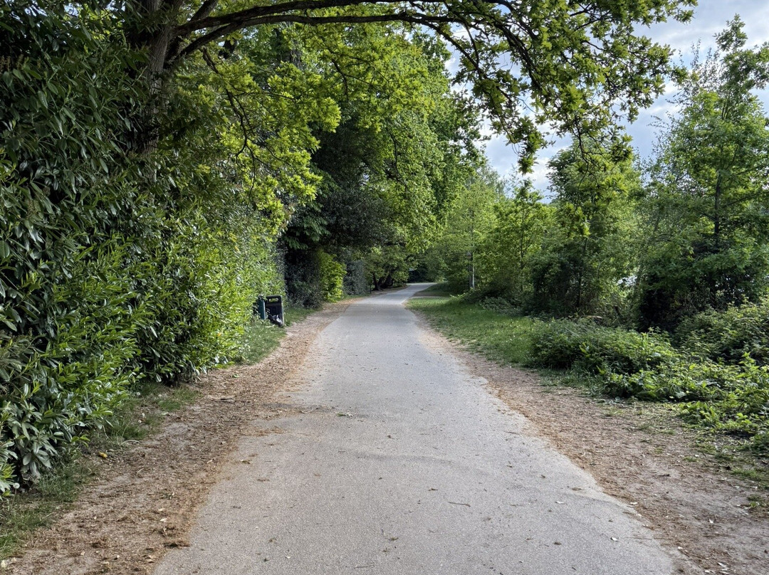 Virginia Water lake景点图片