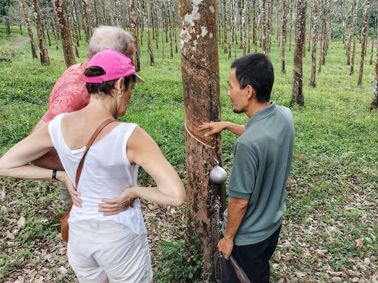 Trek Java-巴纽旺宣必去景点