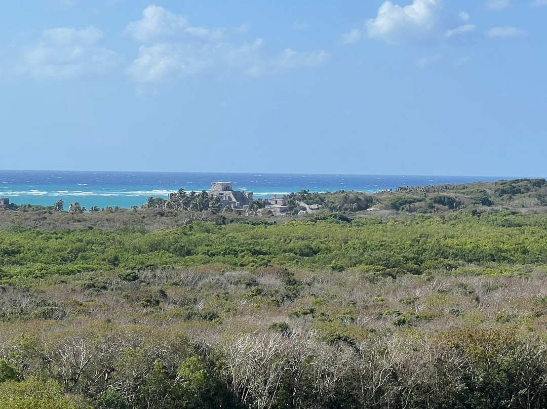 Zona Arqueológica de Muyil-Chunyaxche必去景点