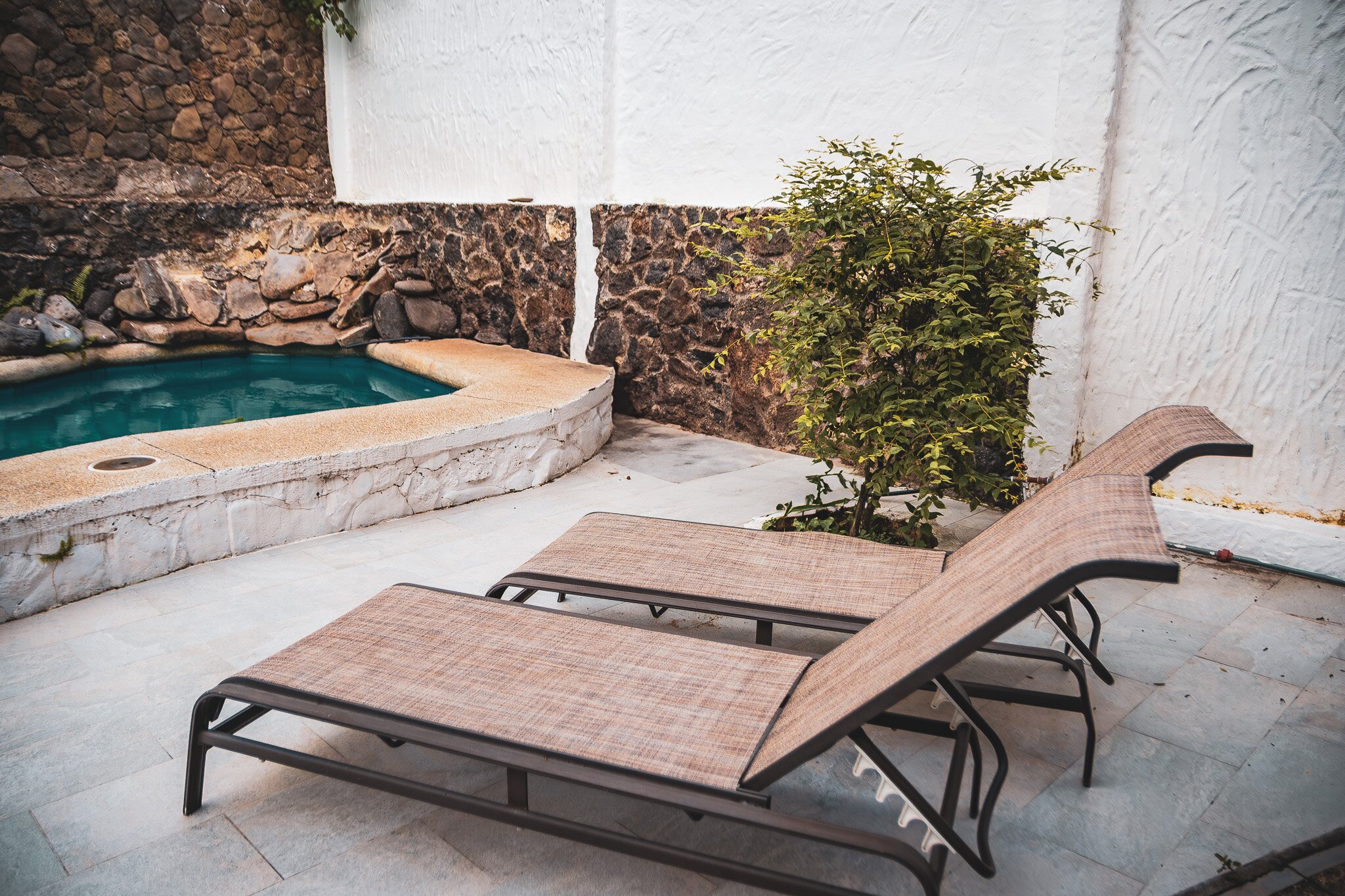 Hotel Miconia-浴室