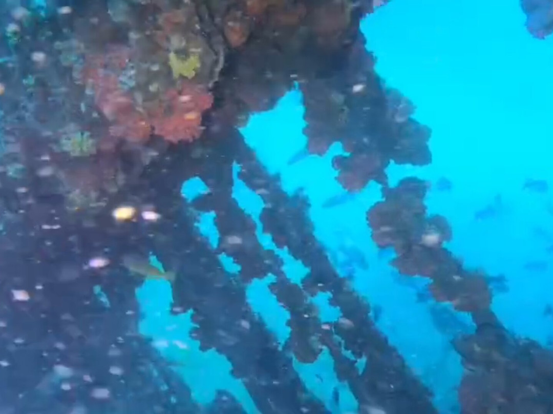 Scuba Addicts Dive Center Passikuda-卡尔库达必去景点