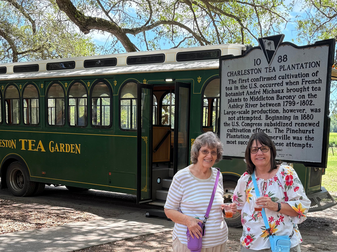 Charleston Tea Garden景点图片