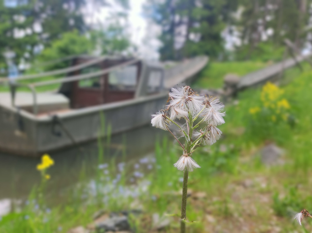 Bunkermuseum-Arnoldstein必去景点